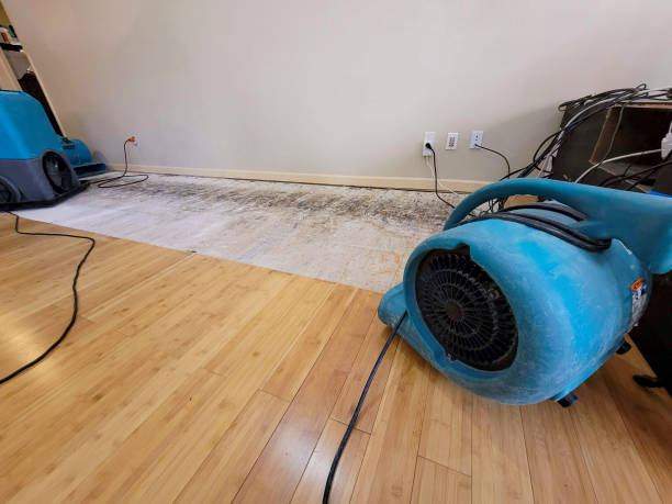 Professional Flood Damage Cleanup technician working in Delmont, SD